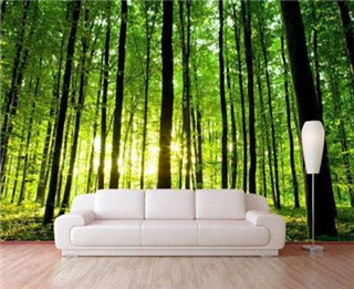 Customized Wall Prints