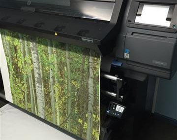 Wallpaper Forest Print