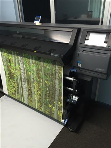 Wallpaper Forest print by Spectra Graphics